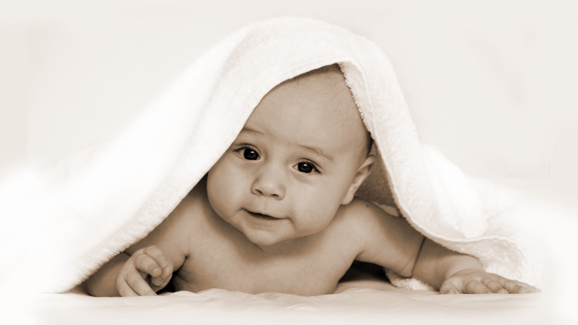 廊坊供卵费用试管婴儿一般几次能成功